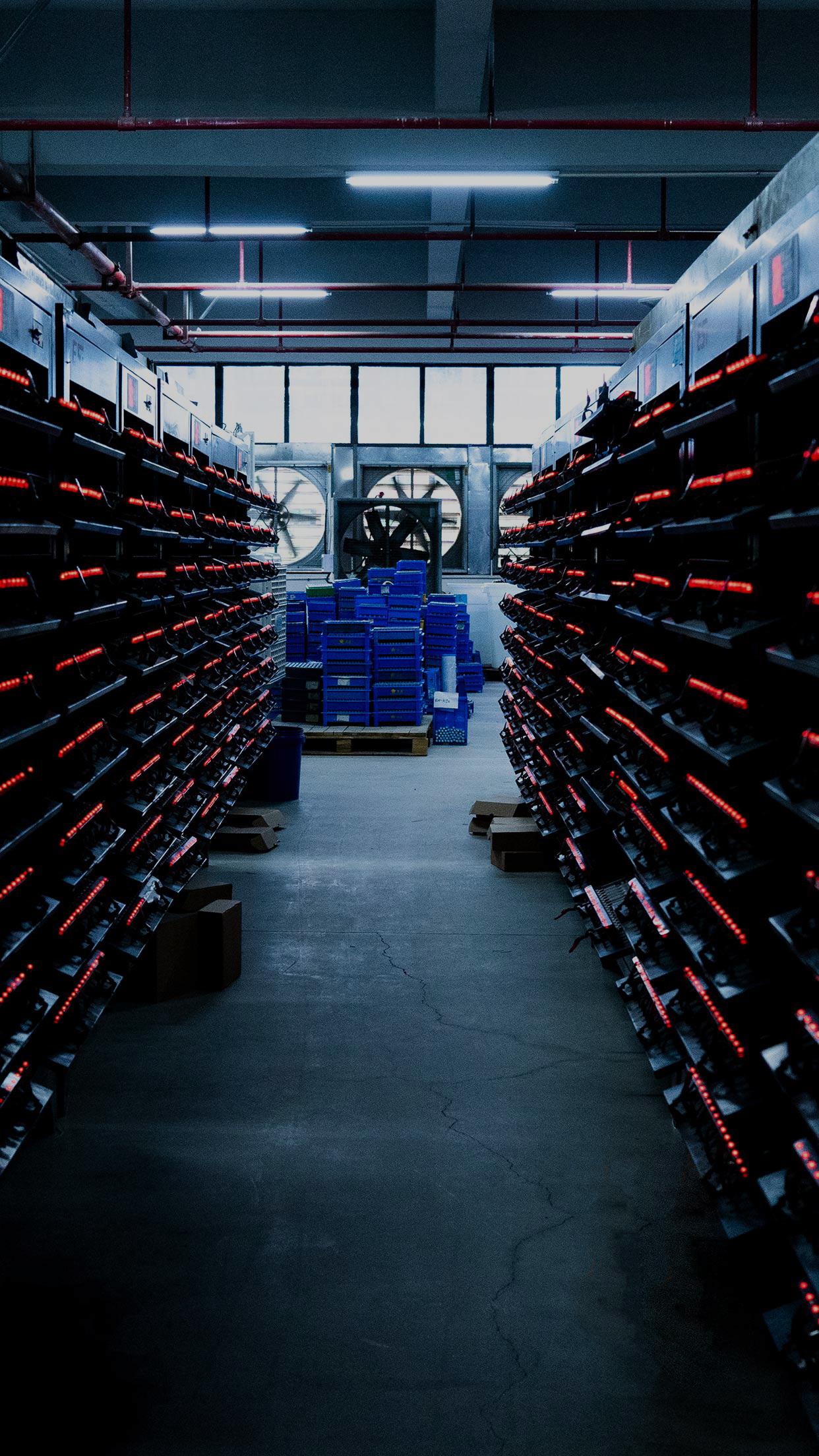 70net���ָߡ�(�й���)���޹�˾����